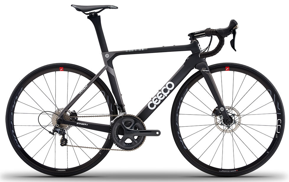 2015 Ceepo Stinger-R
