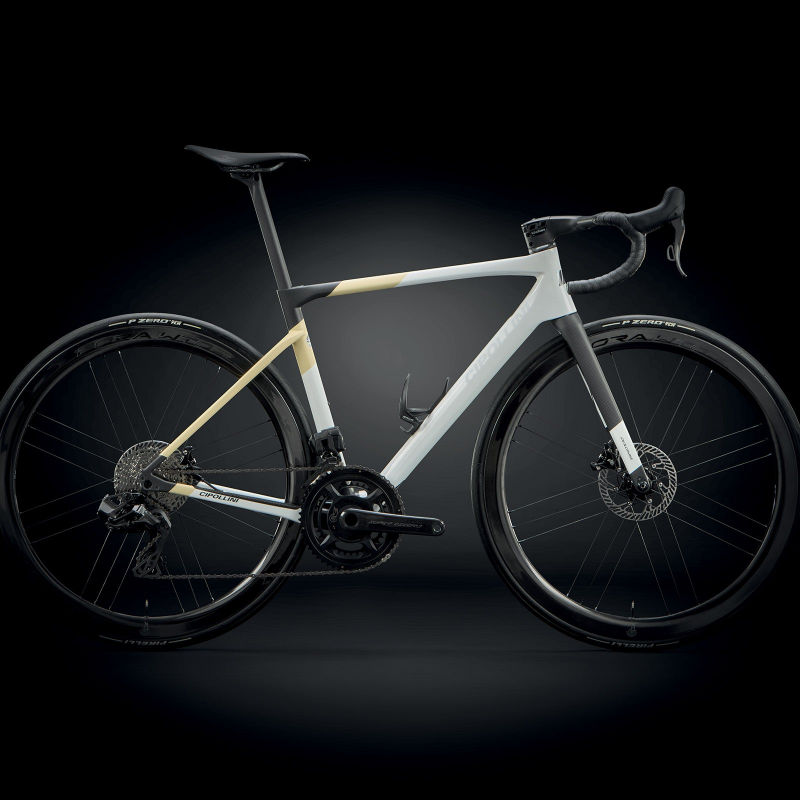 2025 Cipollini Dolomia