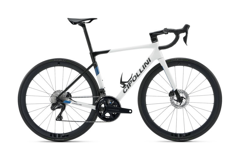 2022 Cipollini Dolomia