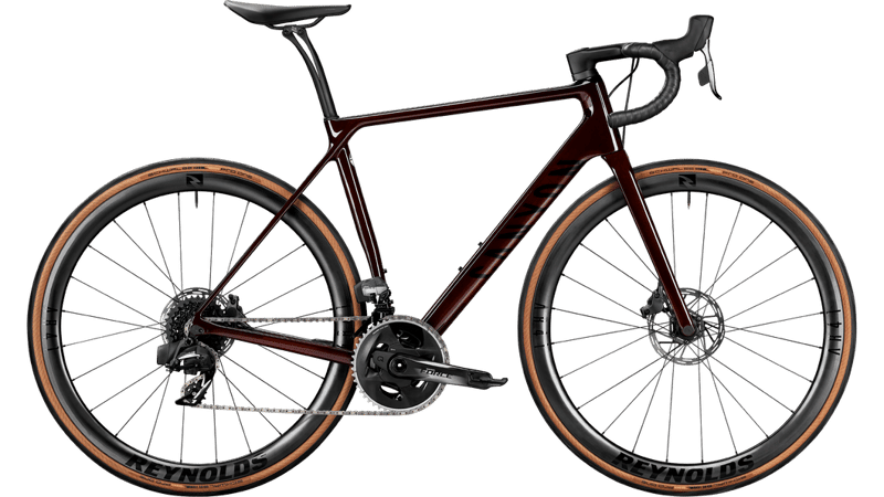 2021 Canyon Endurace CF SLX