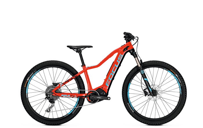 2018 Focus Bold2 Junior