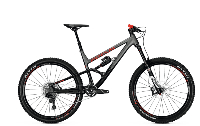 2018 Focus Sam Lite