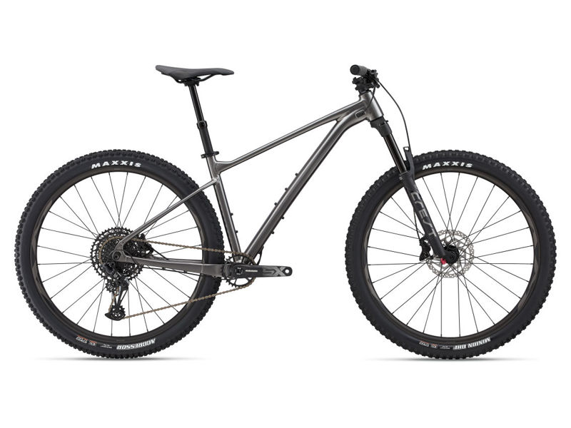 2022 Giant FATHOM 29