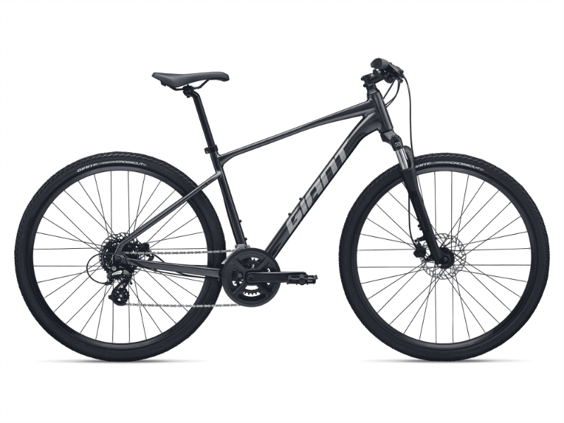 2026 Giant Roam 4