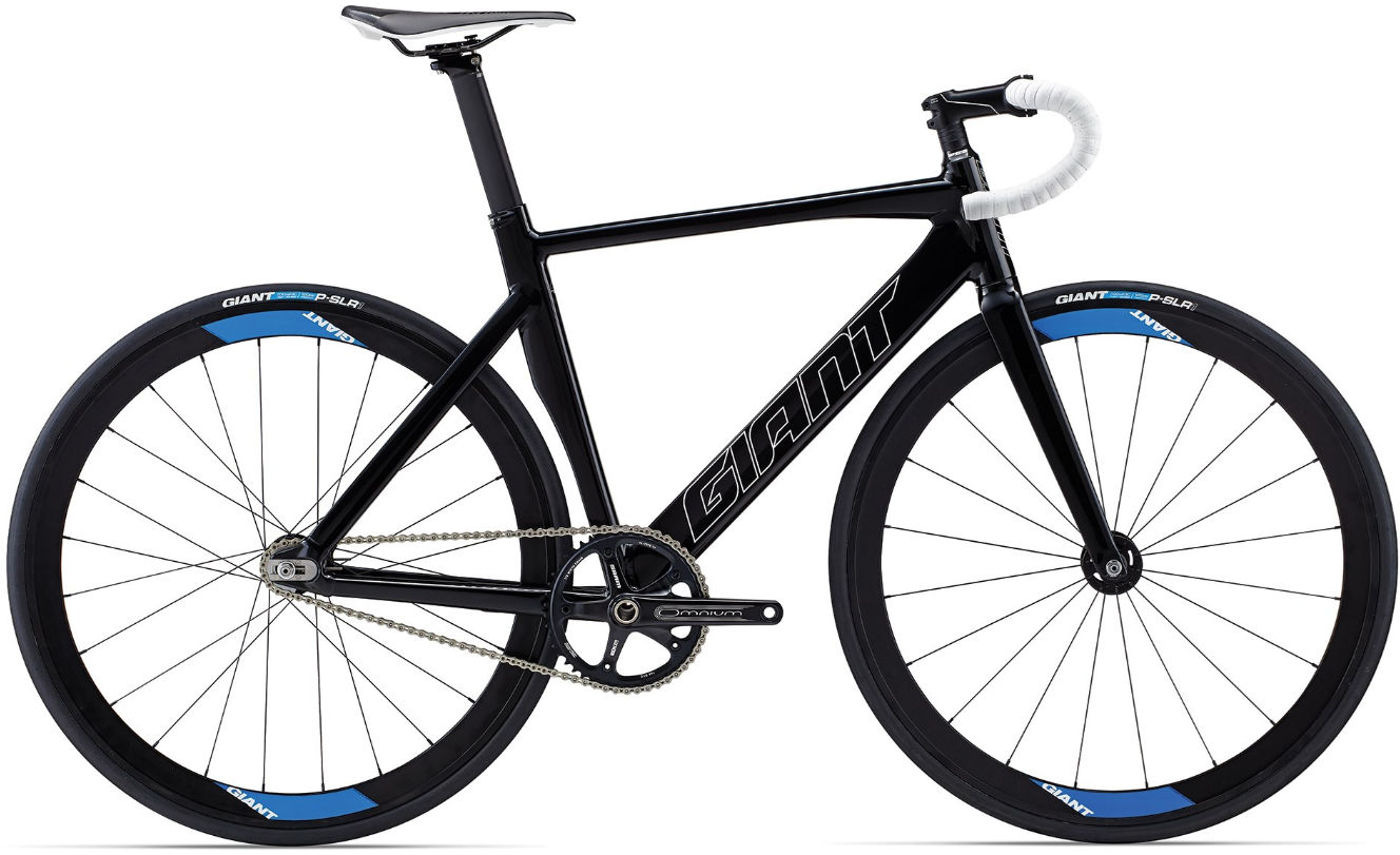 2010 Giant Omnium