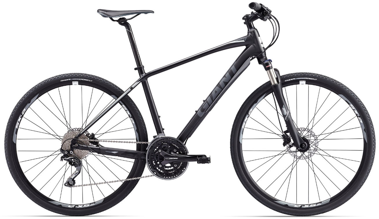 2017 Giant Roam Disc