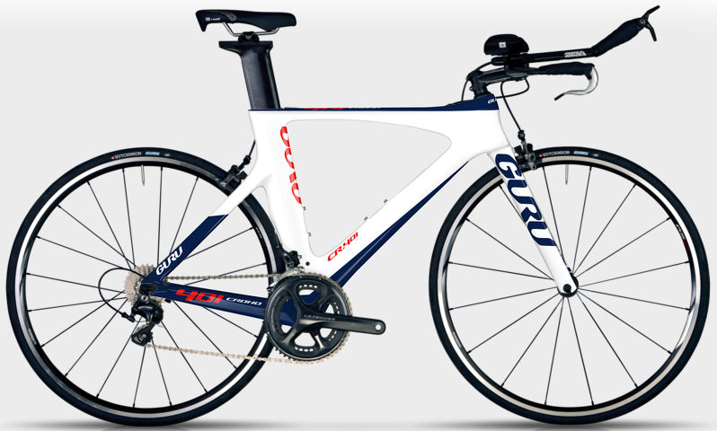 2015 Guru CR.401