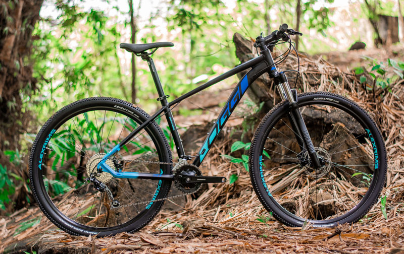 2022 Oggi Big Wheel 7.1