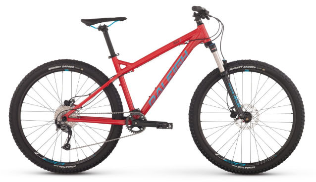 2017 Raleigh Tokul 2