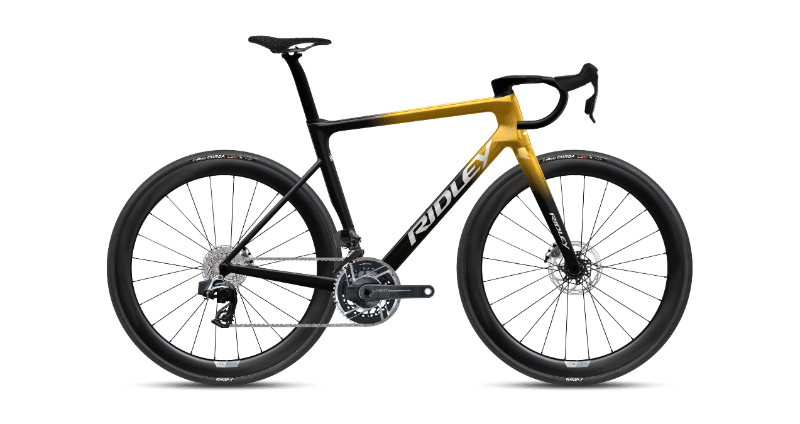 2024 Ridley Falcn RS