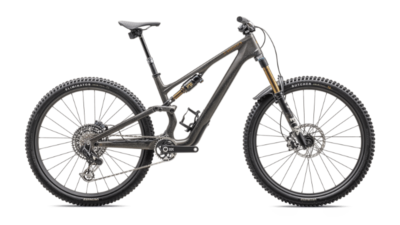 2025 Specialized Stumpjumper 15