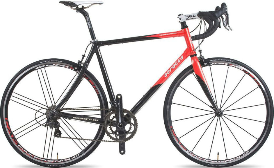 2010 Serotta HSG Carbon