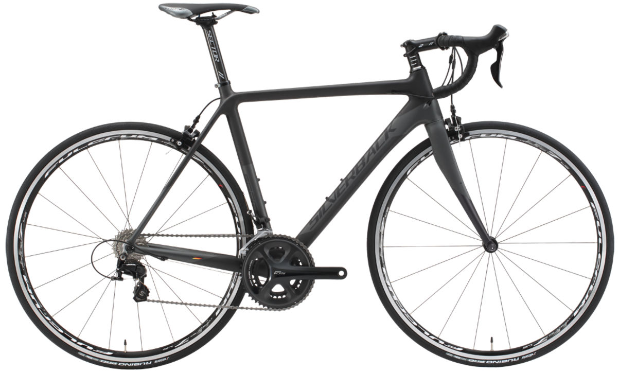 2017 Silverback Space