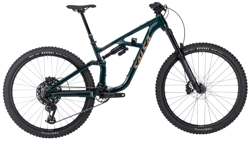 2026 Salsa Blackthorn 145