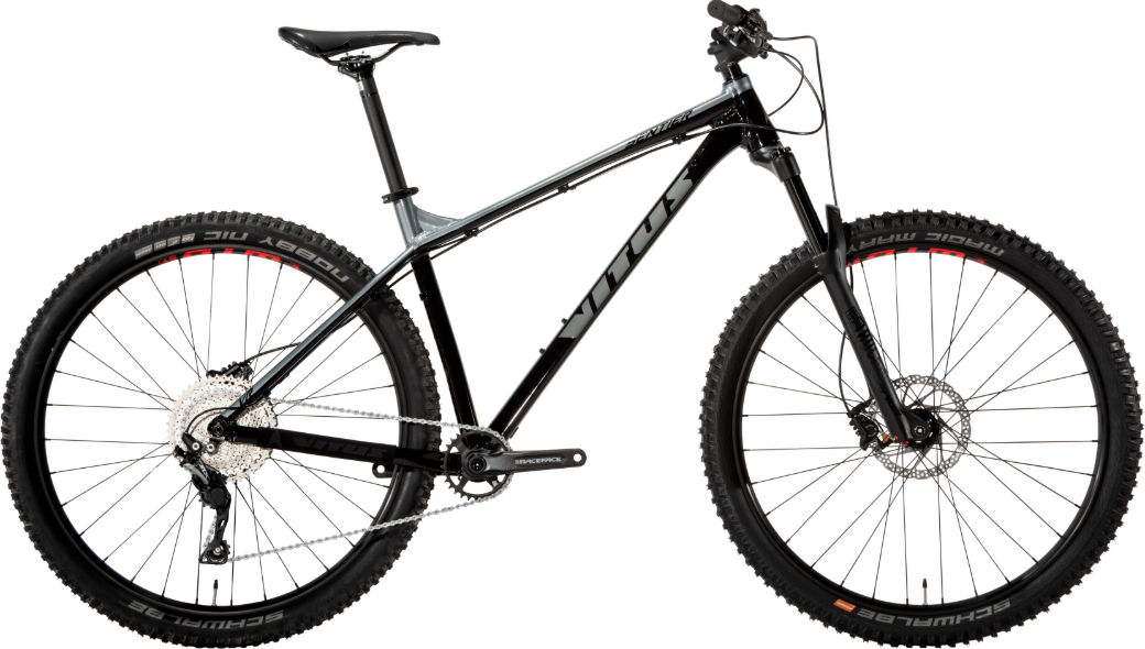 2019 Vitus Sentier 29