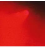 Traktrain banner for @lite
