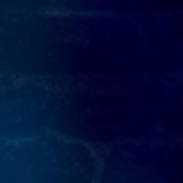 Traktrain banner for @typical