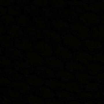 Traktrain banner for @unorthodox