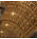 Traktrain banner for @kyoto