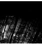 Traktrain banner for @pale