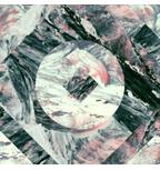 Traktrain banner for @scientific