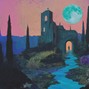 Space Dolphin - Nightfall