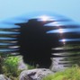 Space Dolphin - Anomaly
