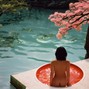 Space Dolphin - Cherry