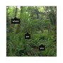 Spectre - Green