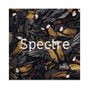 Spectre - Downtempo/Atmosphereic Beat