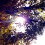k^2 - fruition