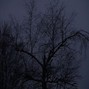 LXVME - Darkness