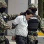 Mafiosoleo - Greyhound