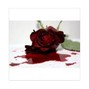 Stealth - Blood on my face