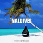 Tigra Haud - Chris Brown x Kid Ink x Tyga Type Beat 2021 - Maldives 