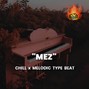 $TEVE Got The Heat - MEZ *Chill x Melodic Type Beat 2024*
