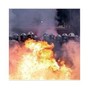 SteveoPro  - No Peace