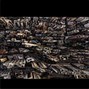 destinybeats - Bird's Eye View