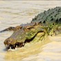 destinybeats - Aligator