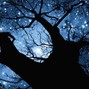 InKline - Stars