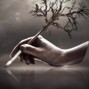 InKline - Ensemble