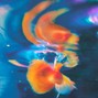 no8 - underwater