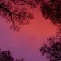 chukes - breathe