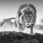 ExclusiveBeatsMarket - Relentless