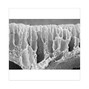Stretch - Membrane