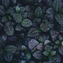 Jarrett Hite - Leaf