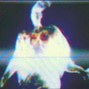 YUNG ZODIACC - LIGHTS OUT