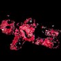 scxrdvst - Stunted Growth