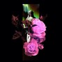badbloodrunswild - Neonblue