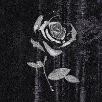 YUNG LØNE